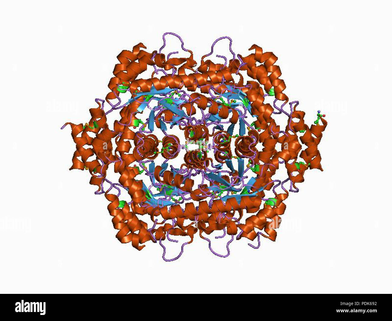 23 PDB 1d8w EBI Banque D'Images