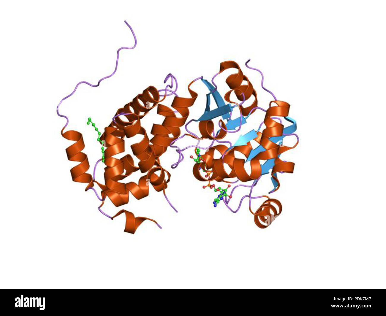 32 PDB 1evz EBI Banque D'Images