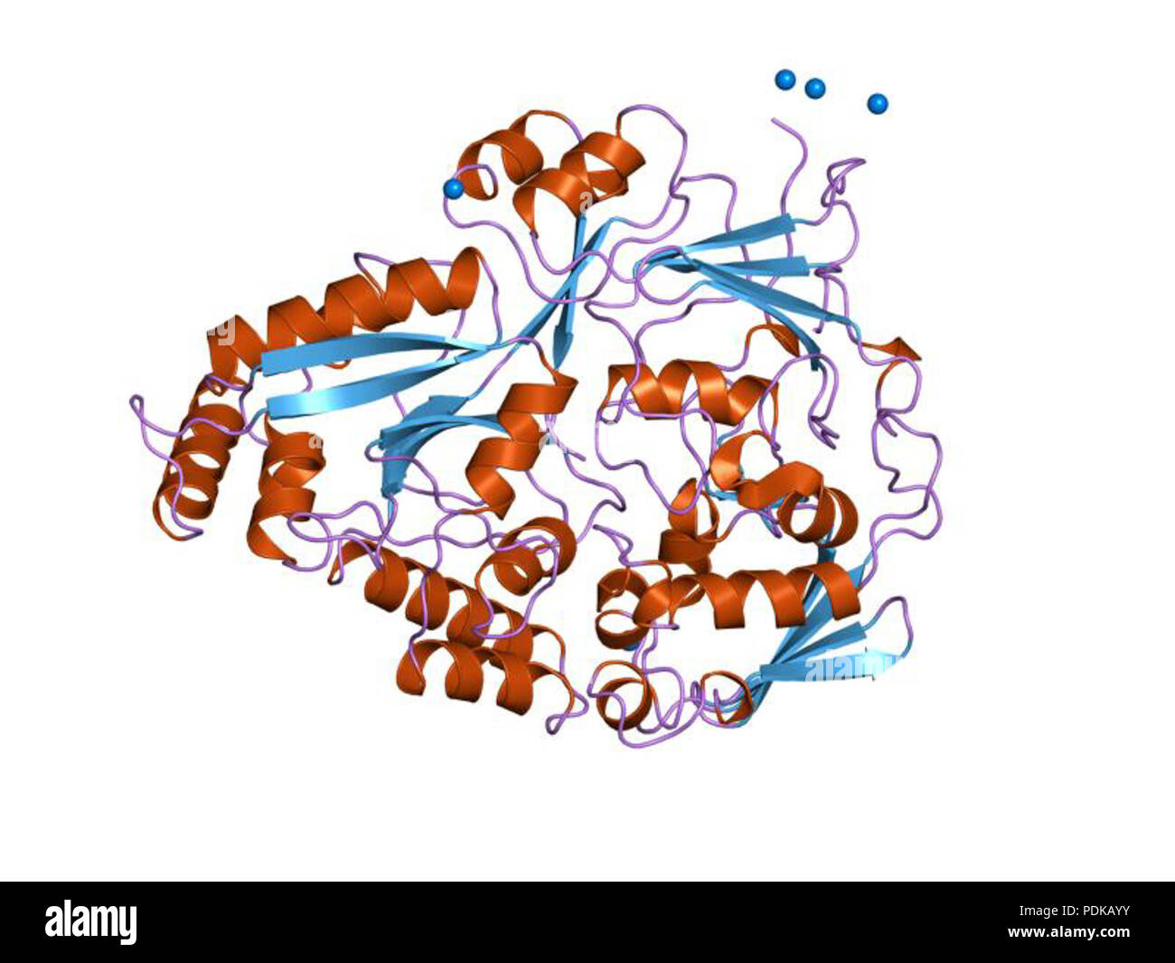 EBI 59 PDB 1jet Banque D'Images
