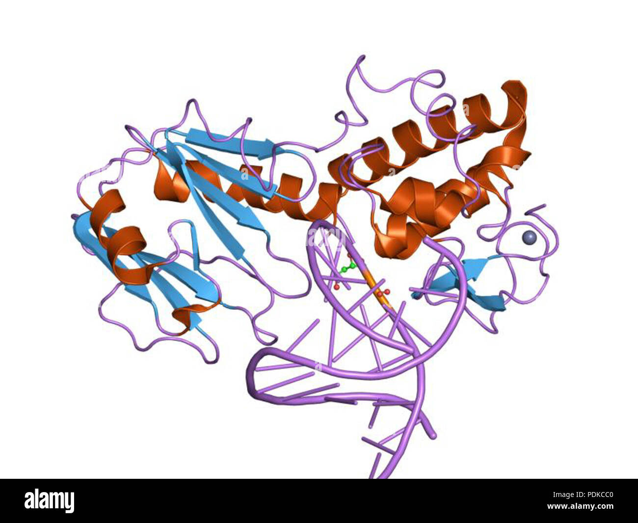 69 PDB 1l2d'EBI Banque D'Images