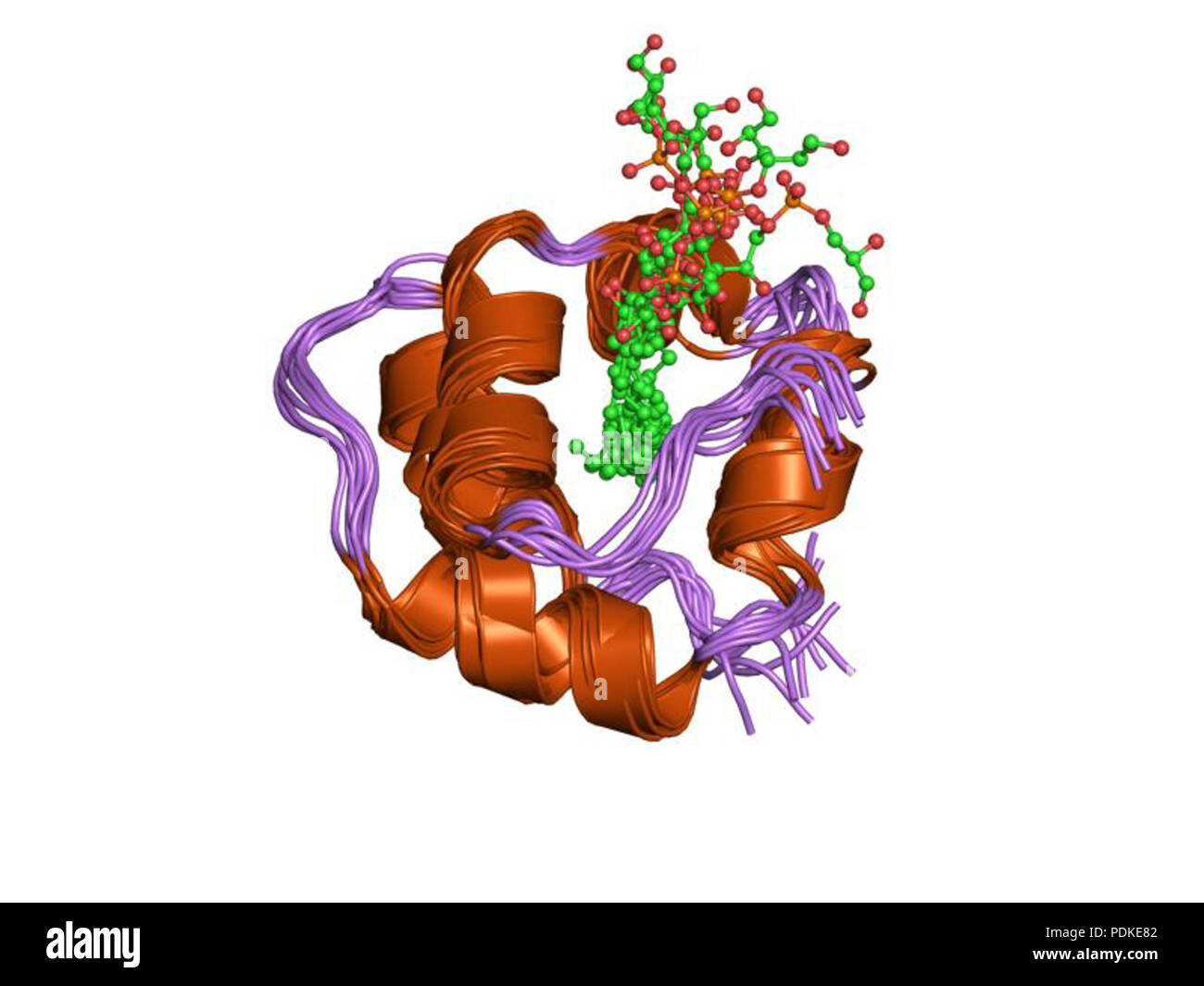 81 PDB 1n89 EBI Banque D'Images