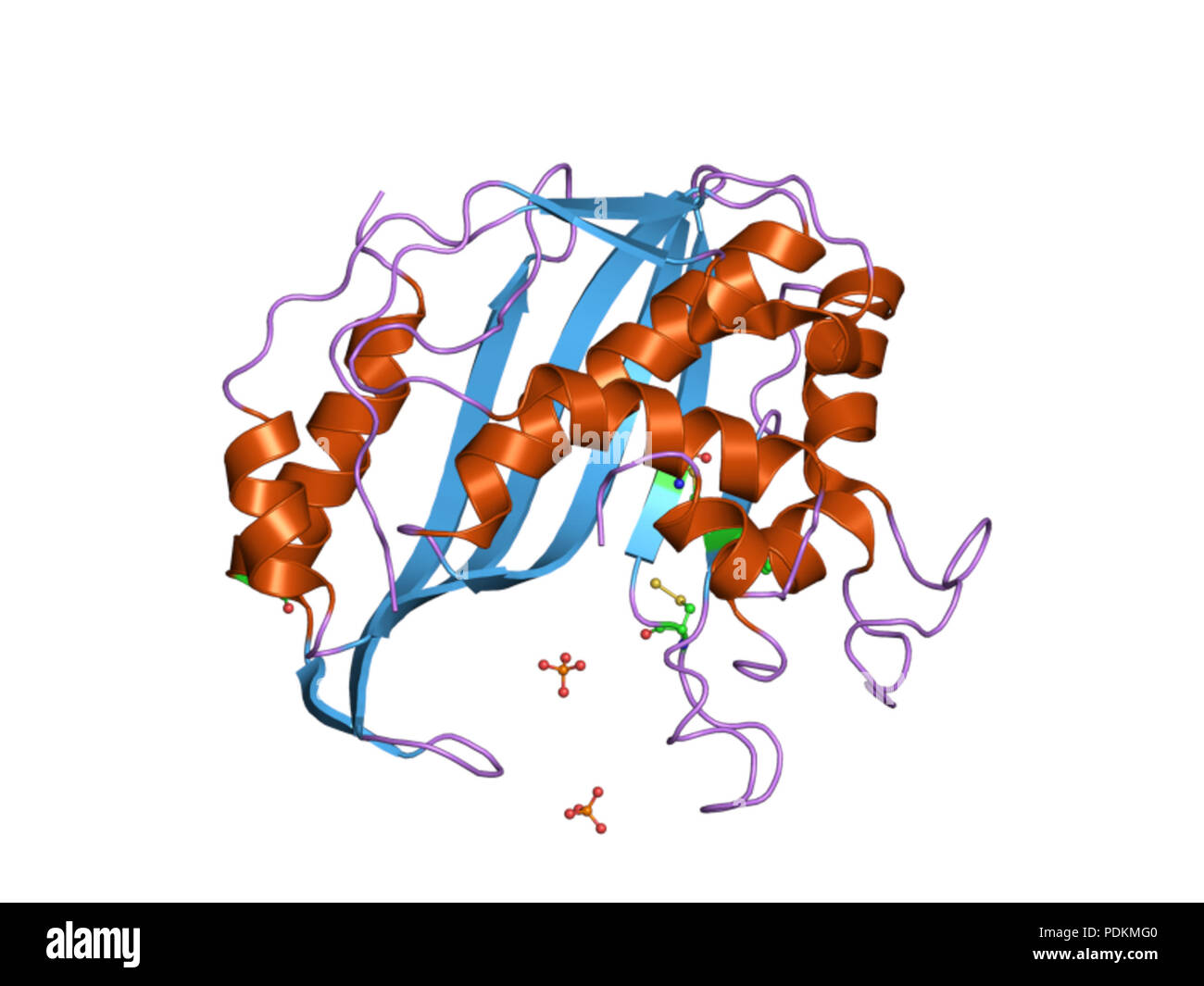 147 PDB 1EBI ypv Banque D'Images