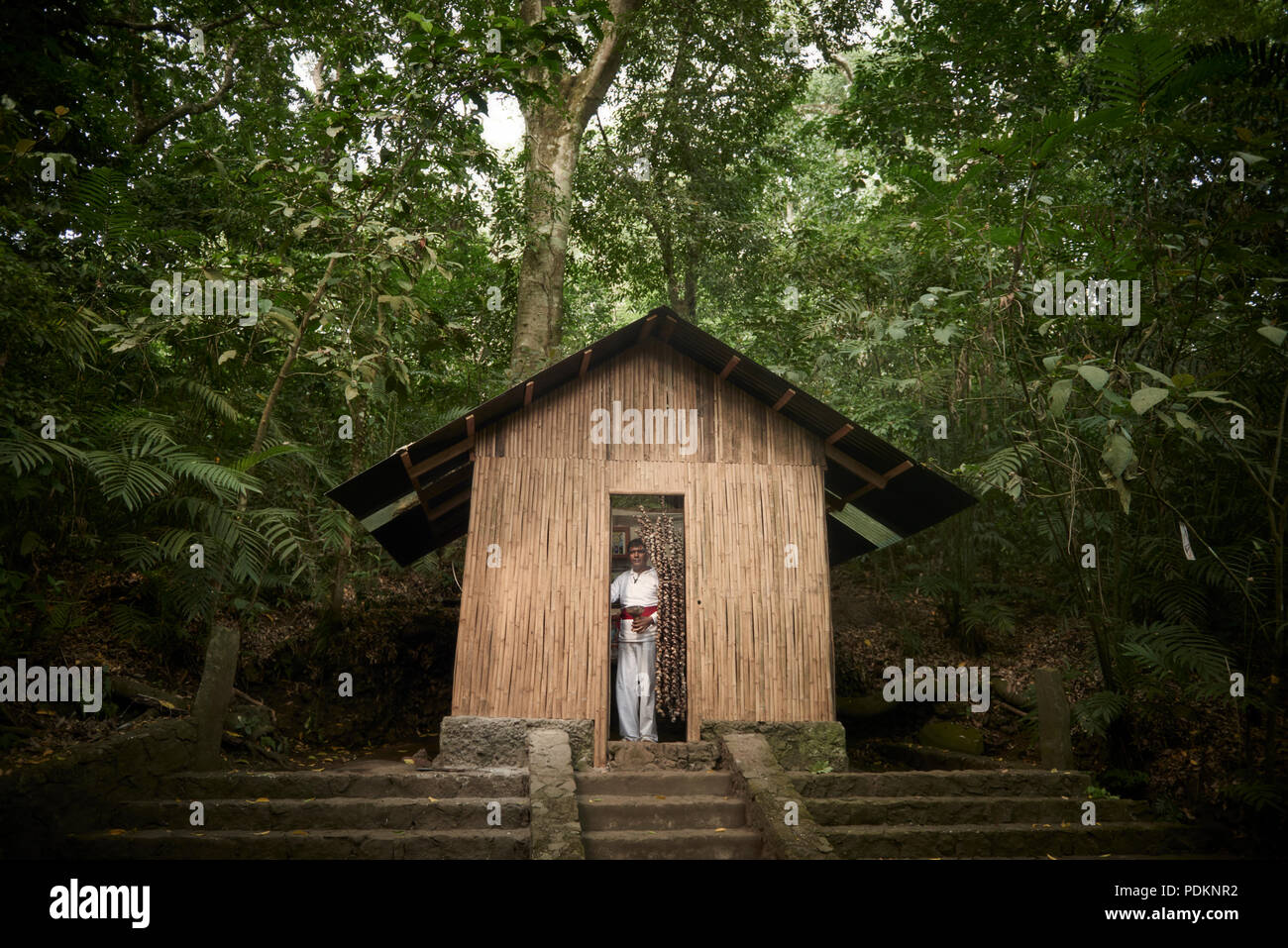 La magie noire Brujos ou sorciers, à Catemaco, Veracruz. Entouré d'animaux séchées, bougies et autres objets d'artisanat en noir sorcière Catemaco, Mexique. Banque D'Images