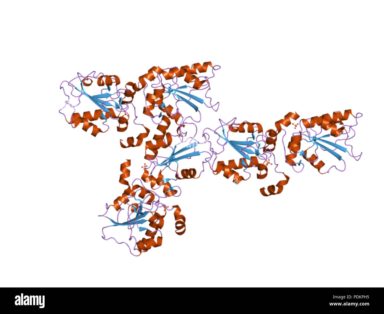 242 PDB 2EBI uzq Banque D'Images