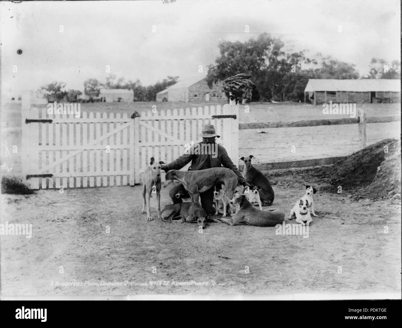 Un rabbiters 8 pack, Darling (2581843269) Banque D'Images Un rabbiters 8 pack, Darling (2581843269) Banque D'Images