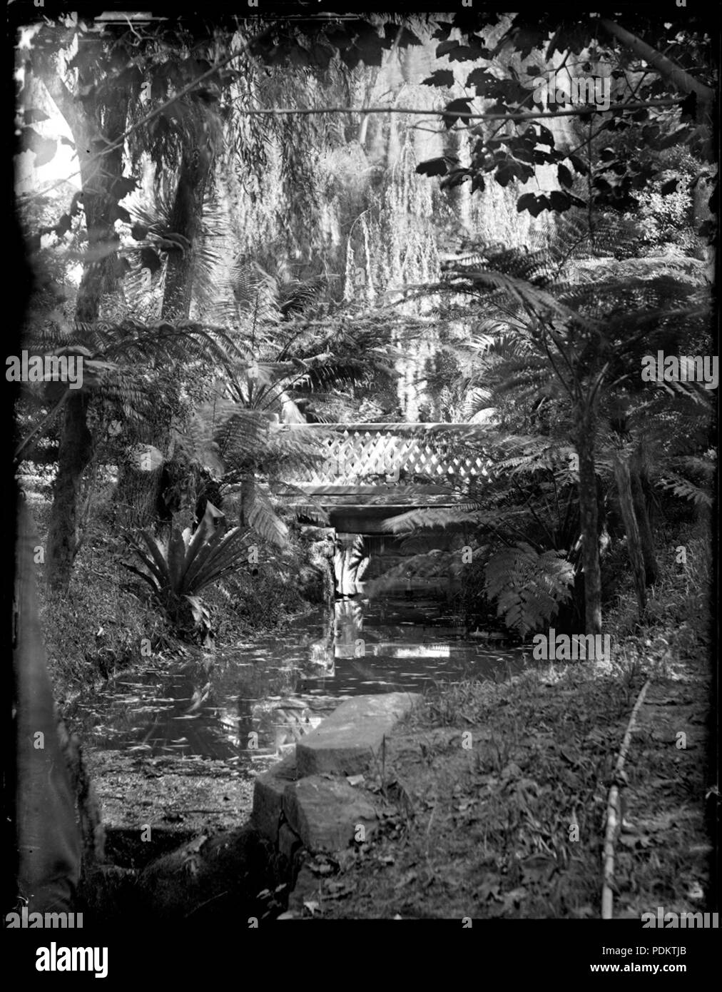 9 Pied en bois d'un pont sur un ruisseau dans les jardins botaniques (3640344174) Banque D'Images