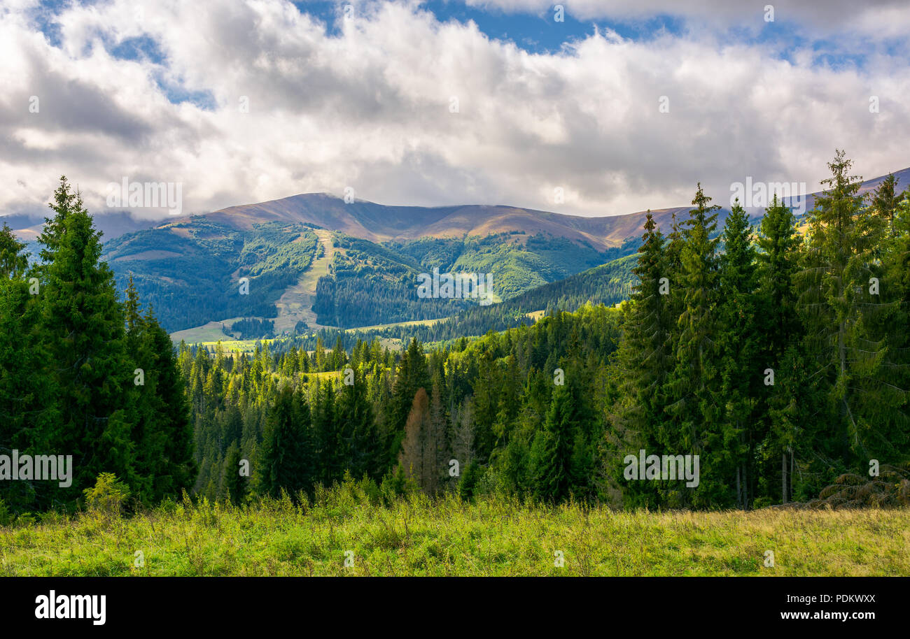 Beau paysage et les collines boisées. paysage d'automne dans la magnifique ville de beau temps et les nuages bas qui pèsent sur la montagne lointaine Banque D'Images