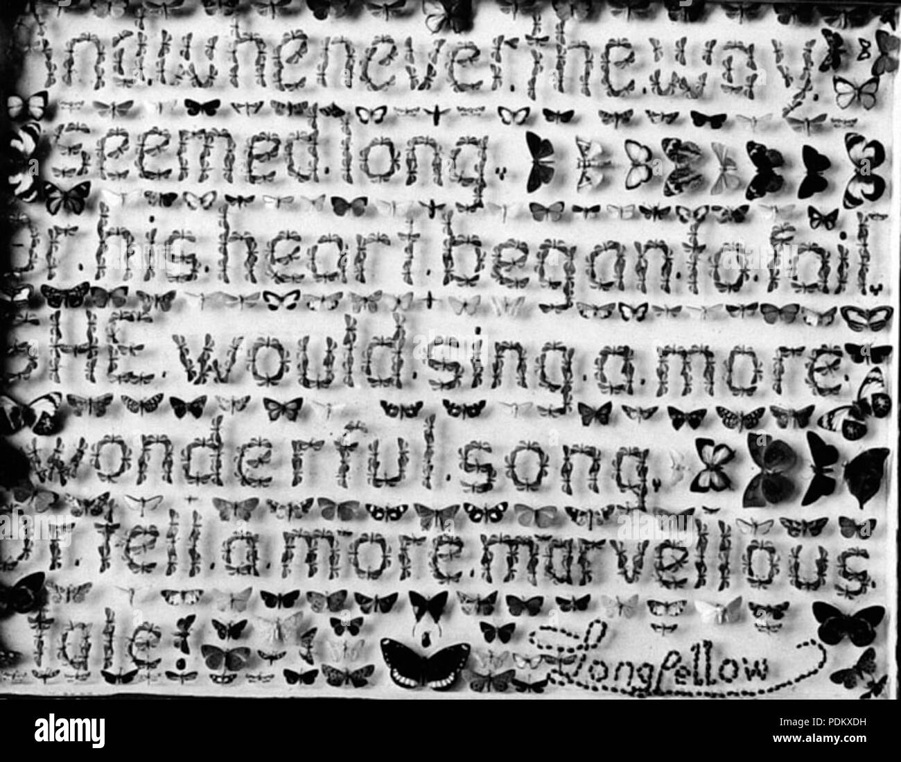101 Archives de l'État du Queensland 1243 Un des nombreux cas de Mr FP Dodds collection de papillons et de Coléoptères Butterfiles à Kuranda NQ c 1935 Banque D'Images