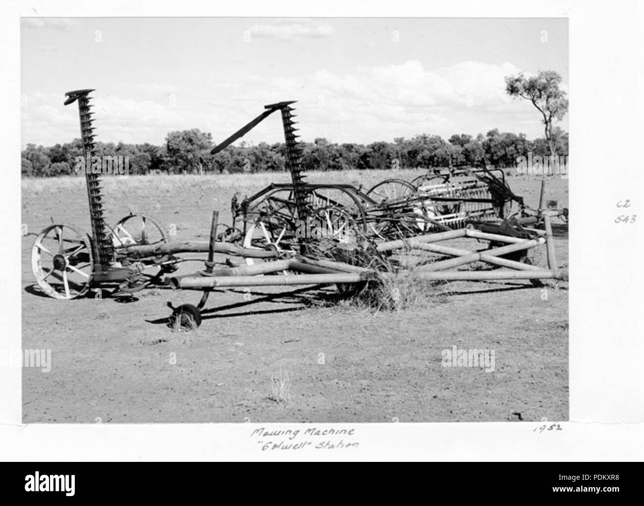 115 Archives de l'État du Queensland 4418 machine de coupe Colwell 1952 Station Banque D'Images