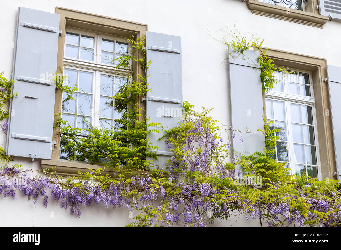Vivre façade de maison avec des fenêtres et des fleurs sur le mur. Vieille ville de Berne, Suisse Banque D'Images
