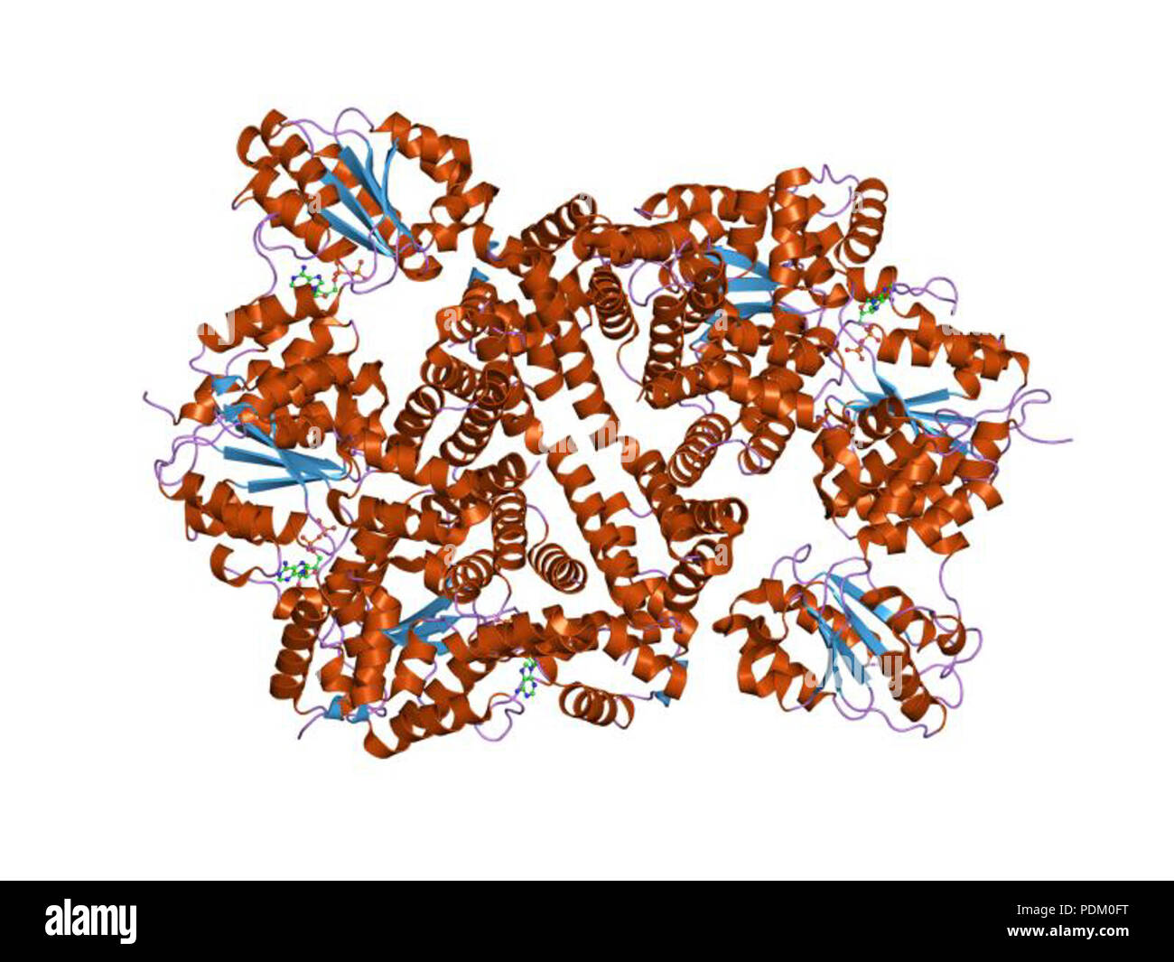 55 PDB 1iqp EBI Banque D'Images