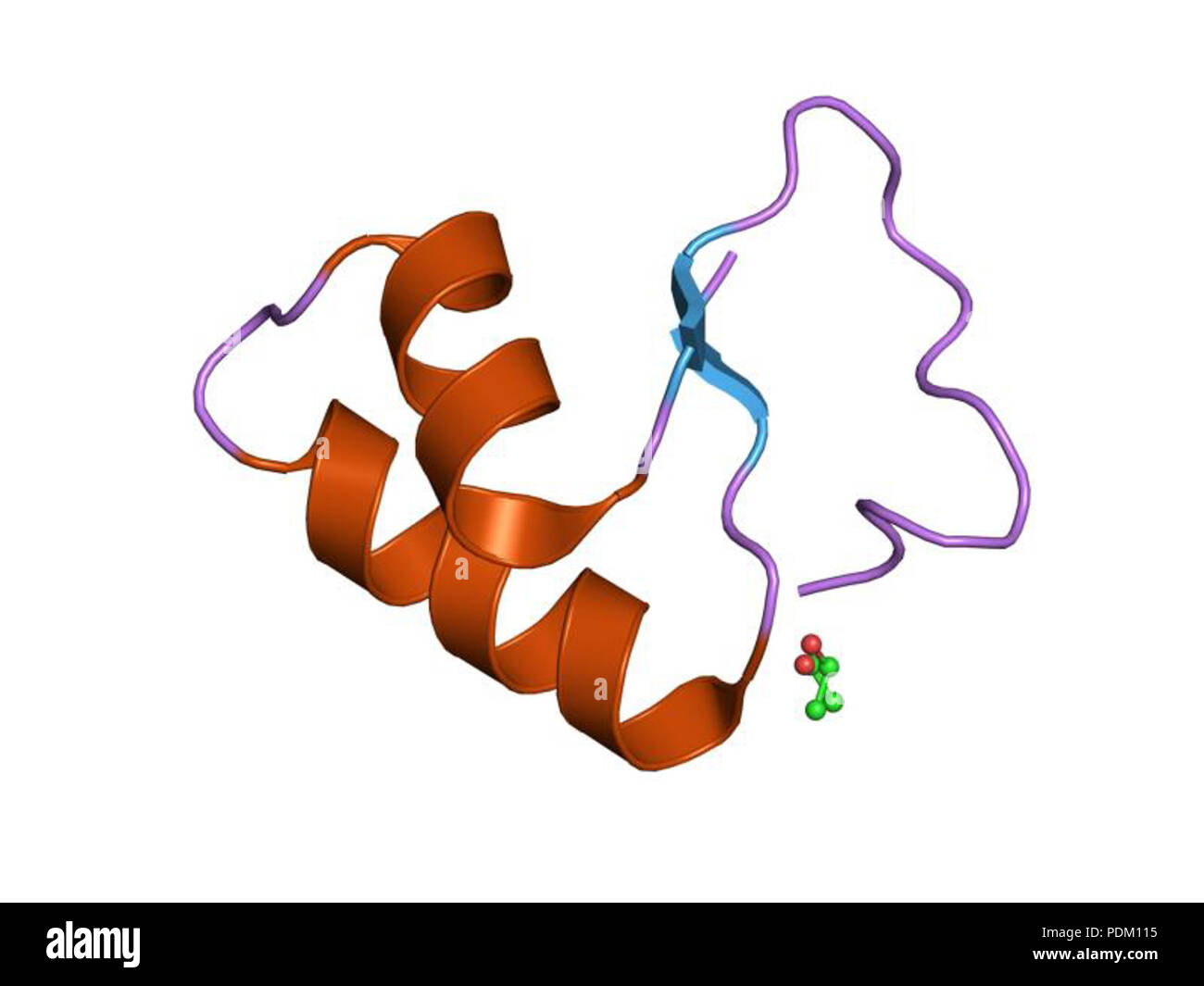 62 PDB 1EBI jxy Banque D'Images