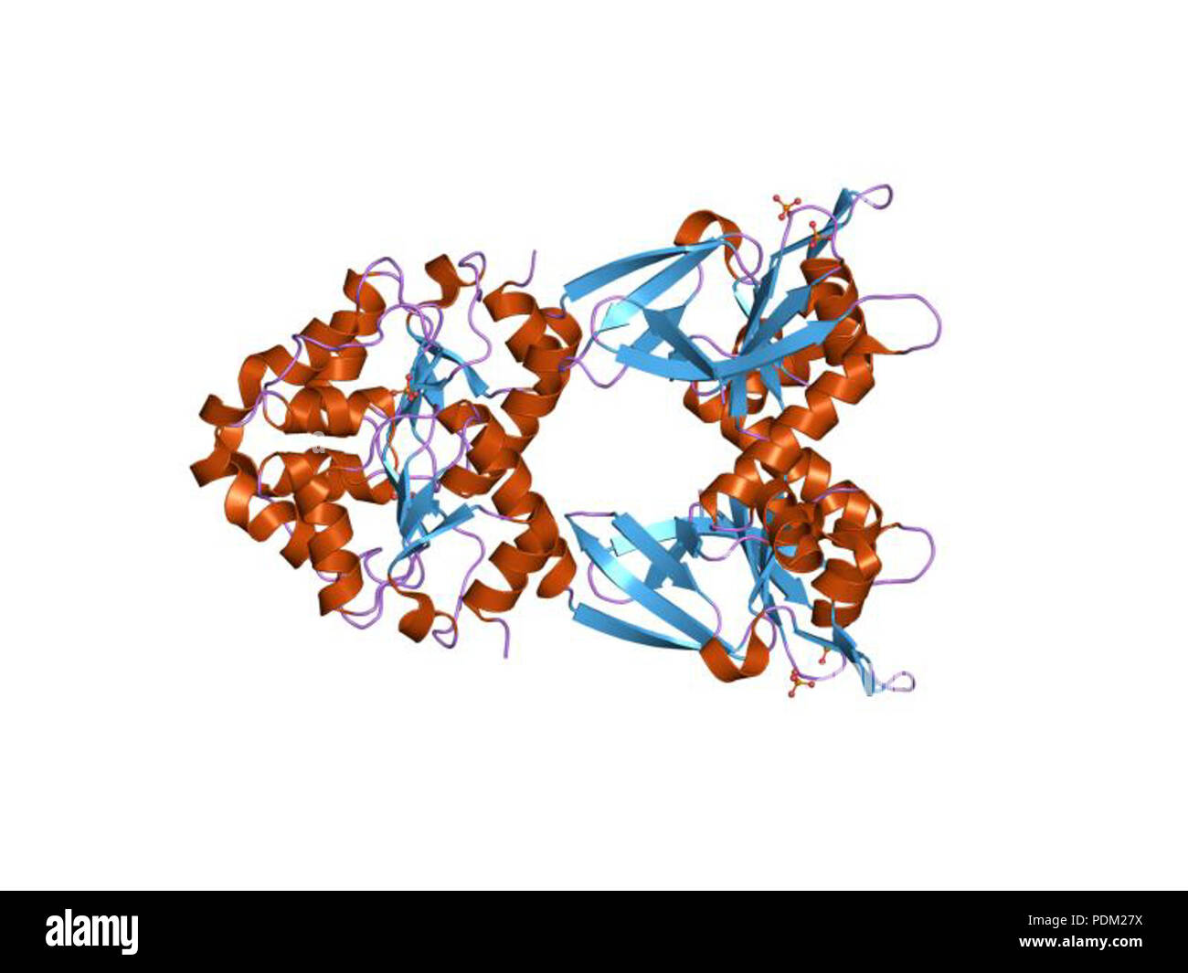 66 PDB 1ko7 EBI Banque D'Images