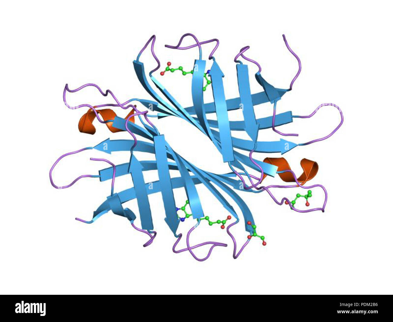 73 PDB 1luq EBI Banque D'Images