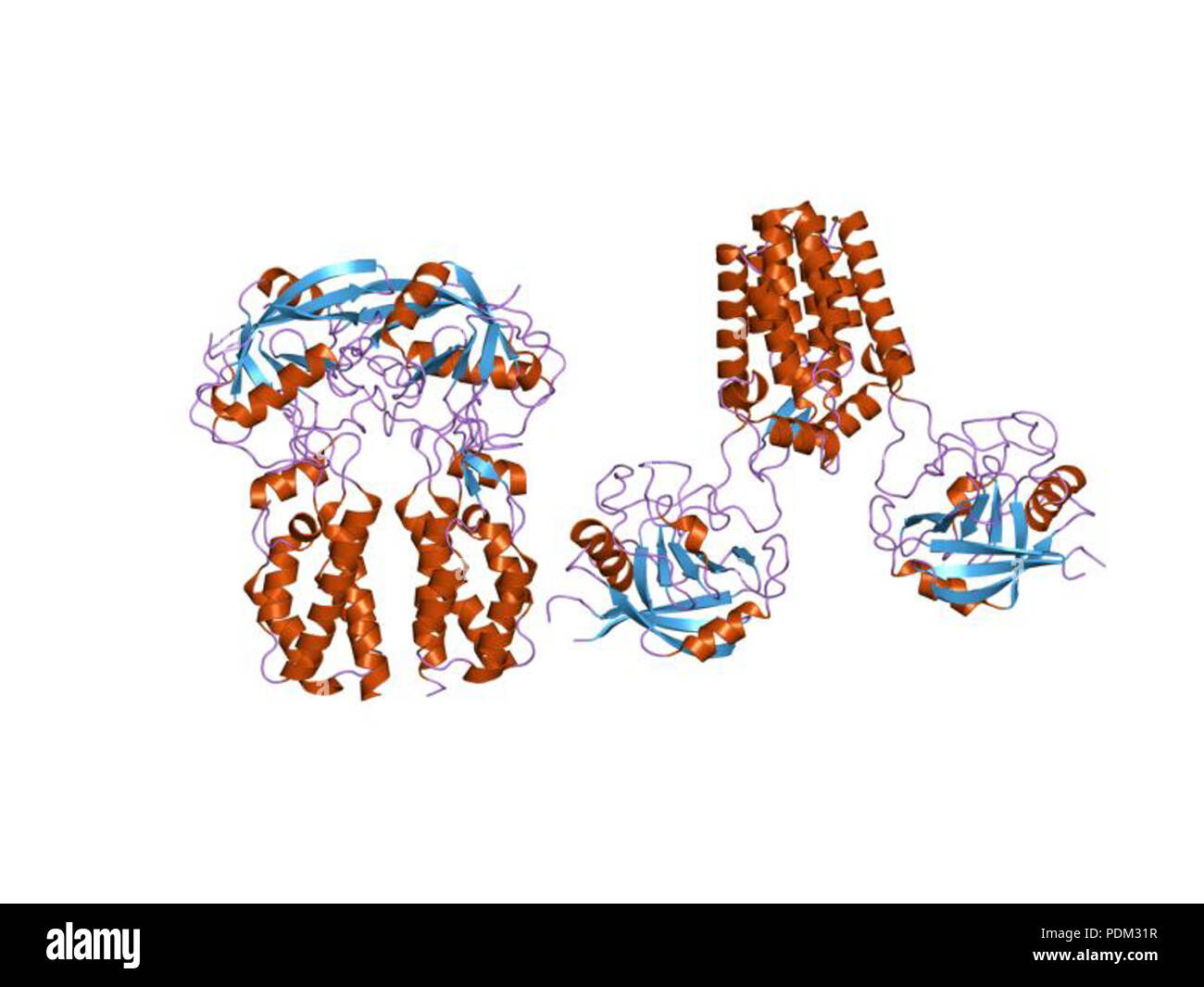 75 PDB 1m9x EBI Banque D'Images