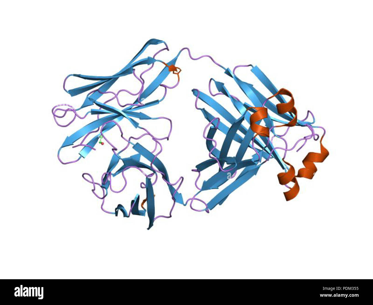 EBI 76 PDB 1mck Banque D'Images