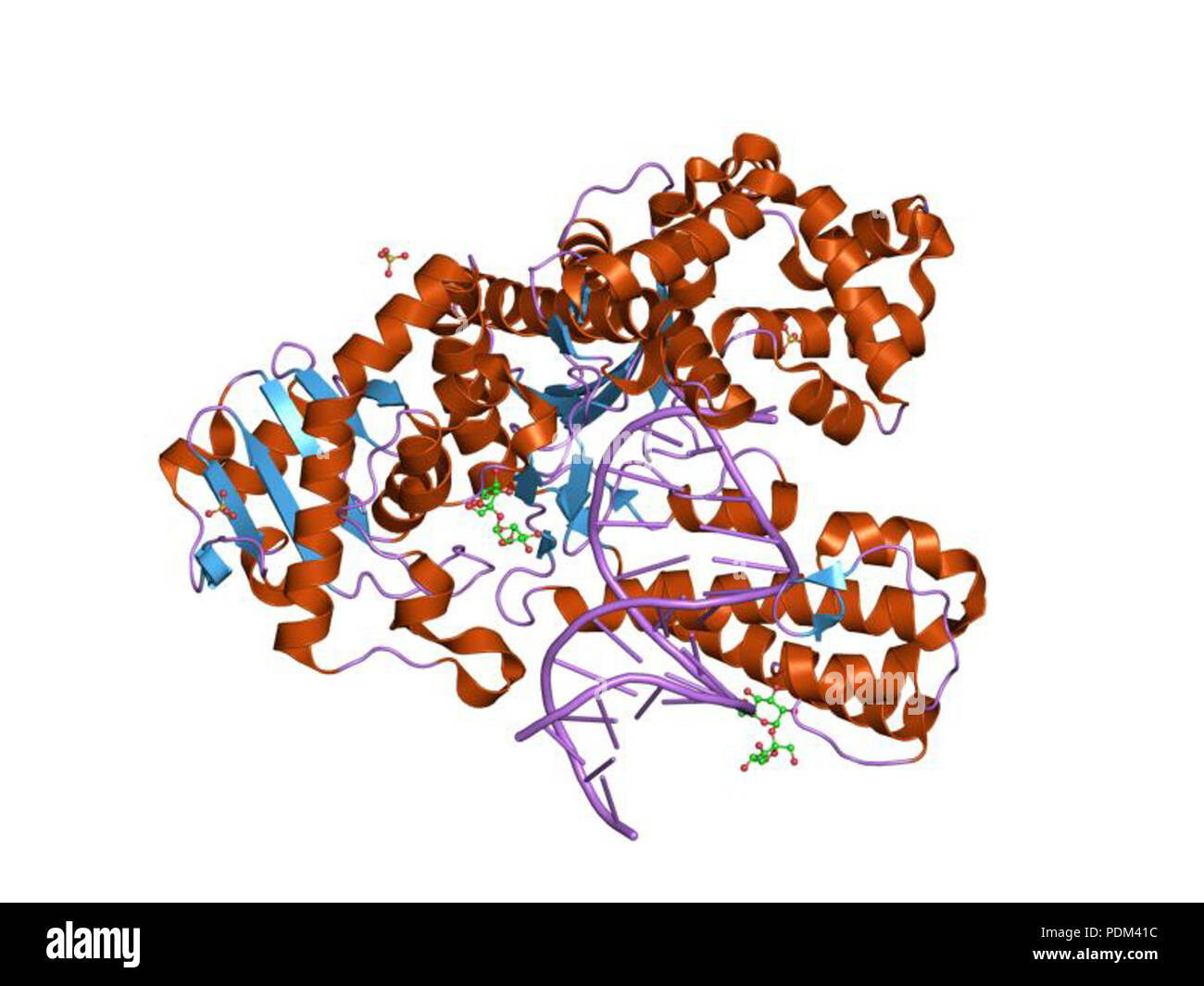 83 PDB 1nkb EBI Banque D'Images