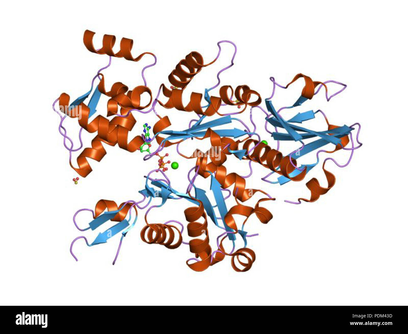 83 PDB 1nlv EBI Banque D'Images