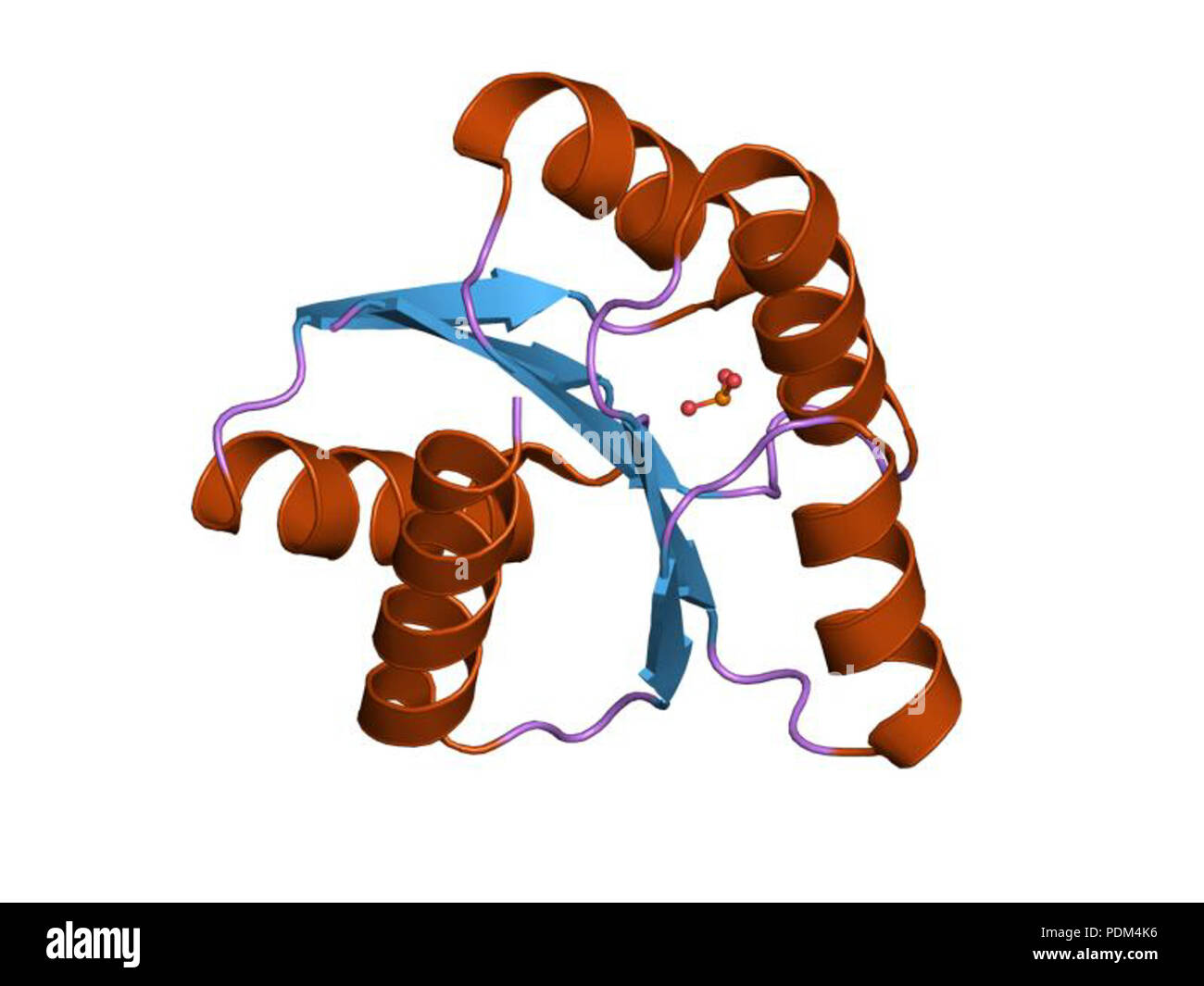 85 PDB 1EBI NXP Banque D'Images