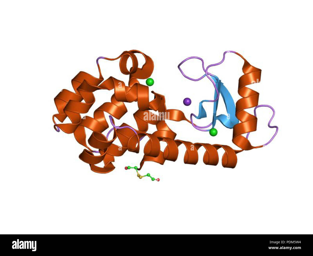 92 PDB 1p64 EBI Banque D'Images