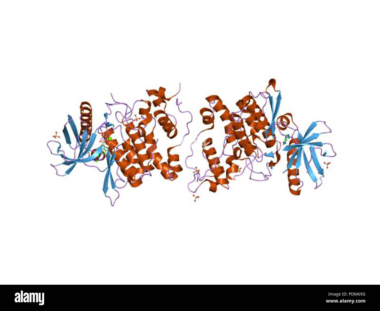 98 PDB 1q8y EBI Banque D'Images