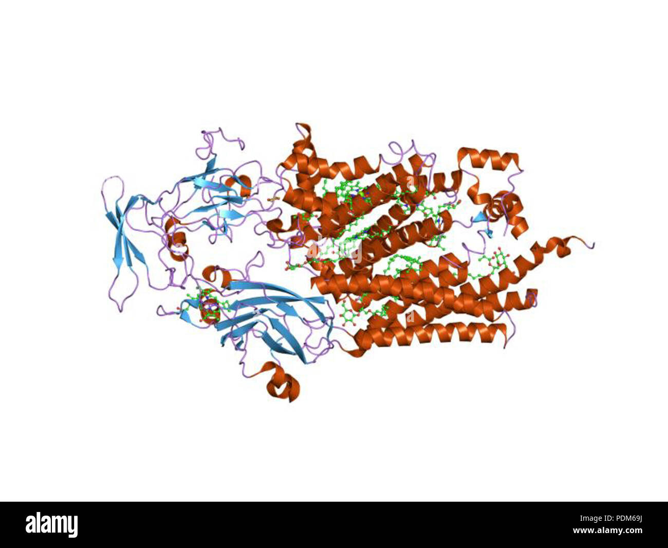 98 PDB 1q90 EBI Banque D'Images