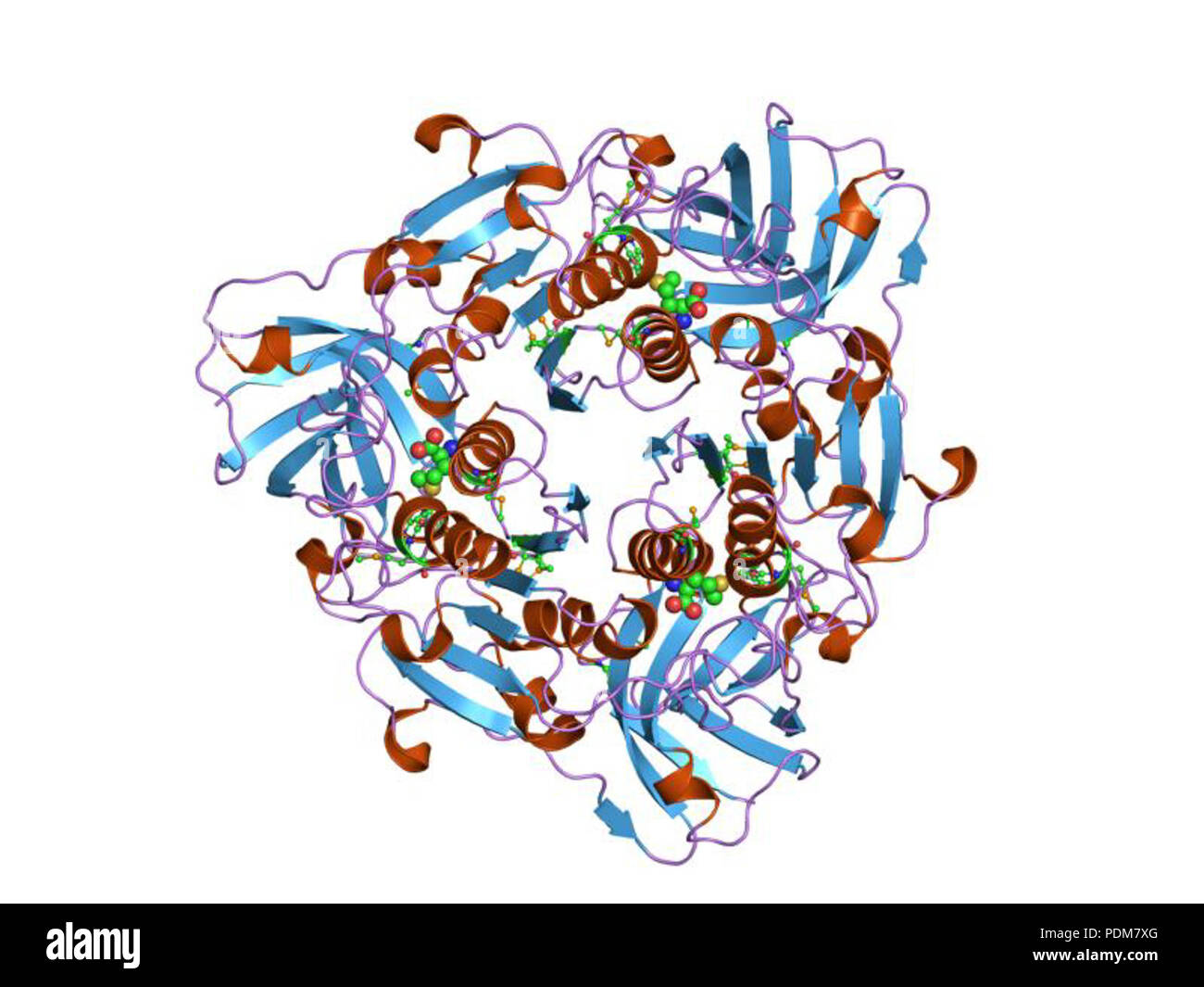107 PDB 1rqr EBI Banque D'Images