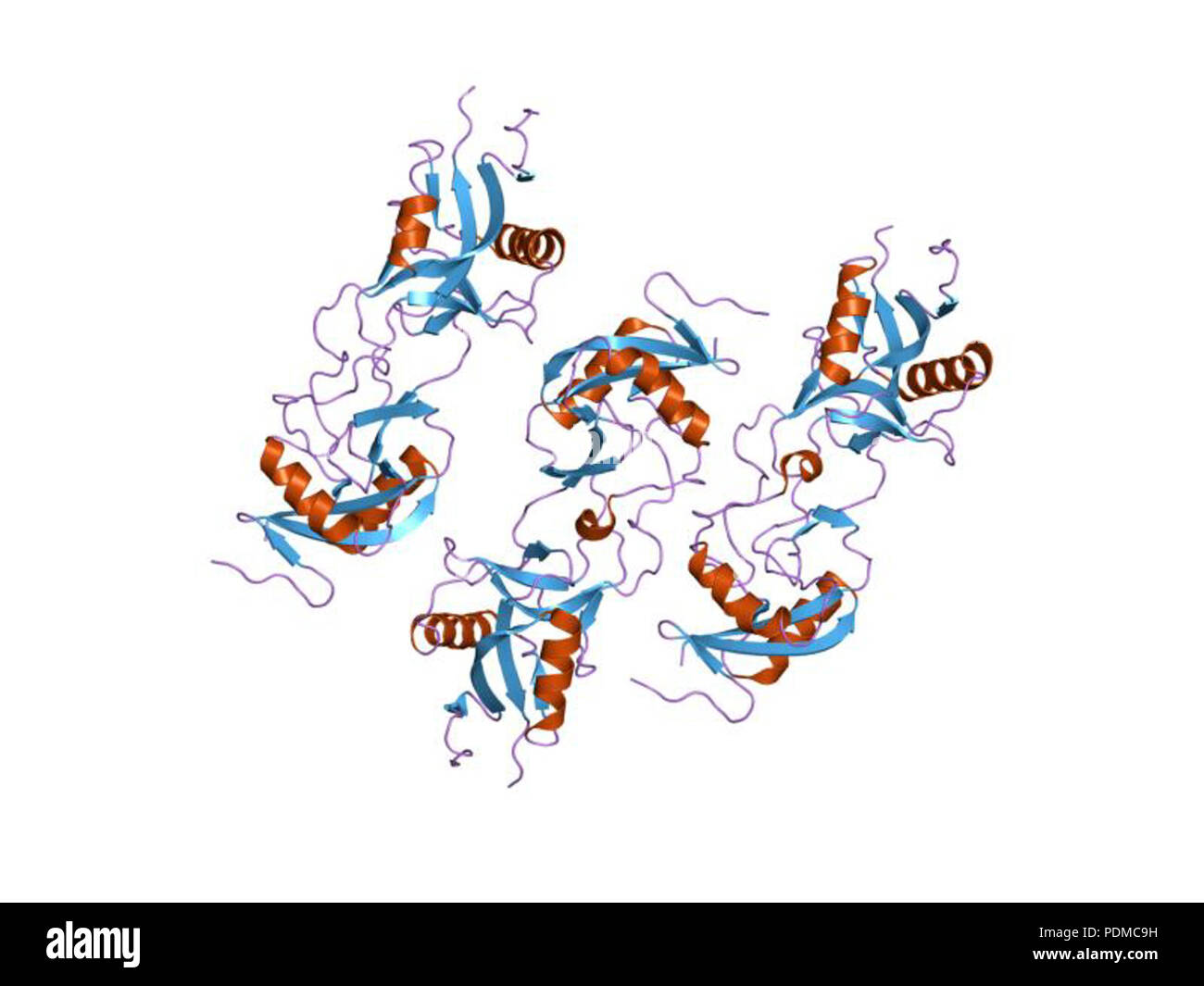 127 PDB 1v4l'EBI Banque D'Images