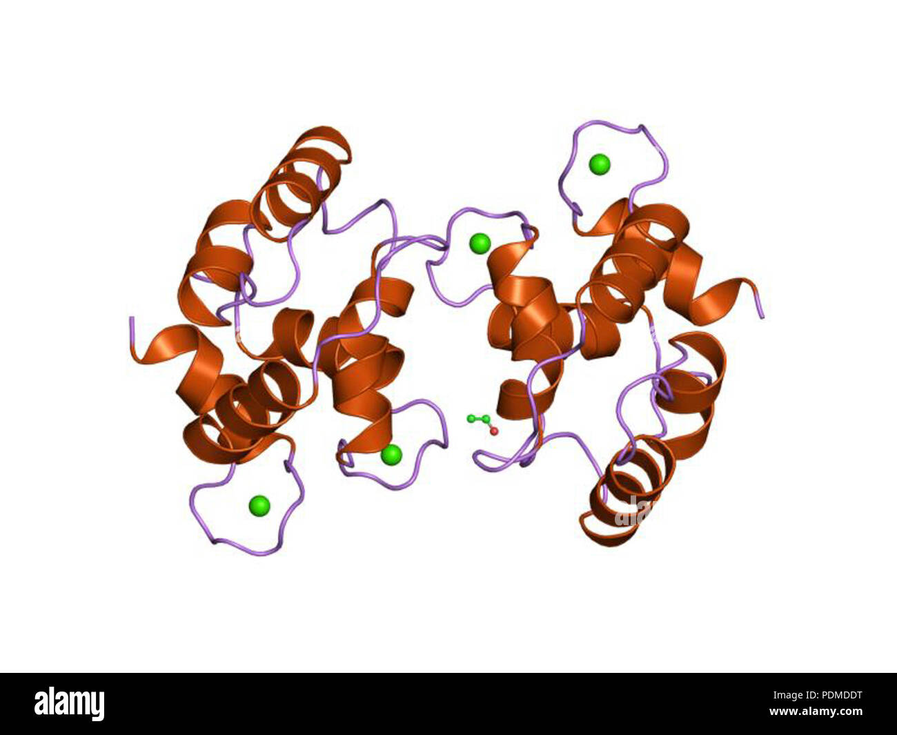 96 PDB 1EBI PVA Banque D'Images 96 PDB 1EBI PVA Banque D'Images
