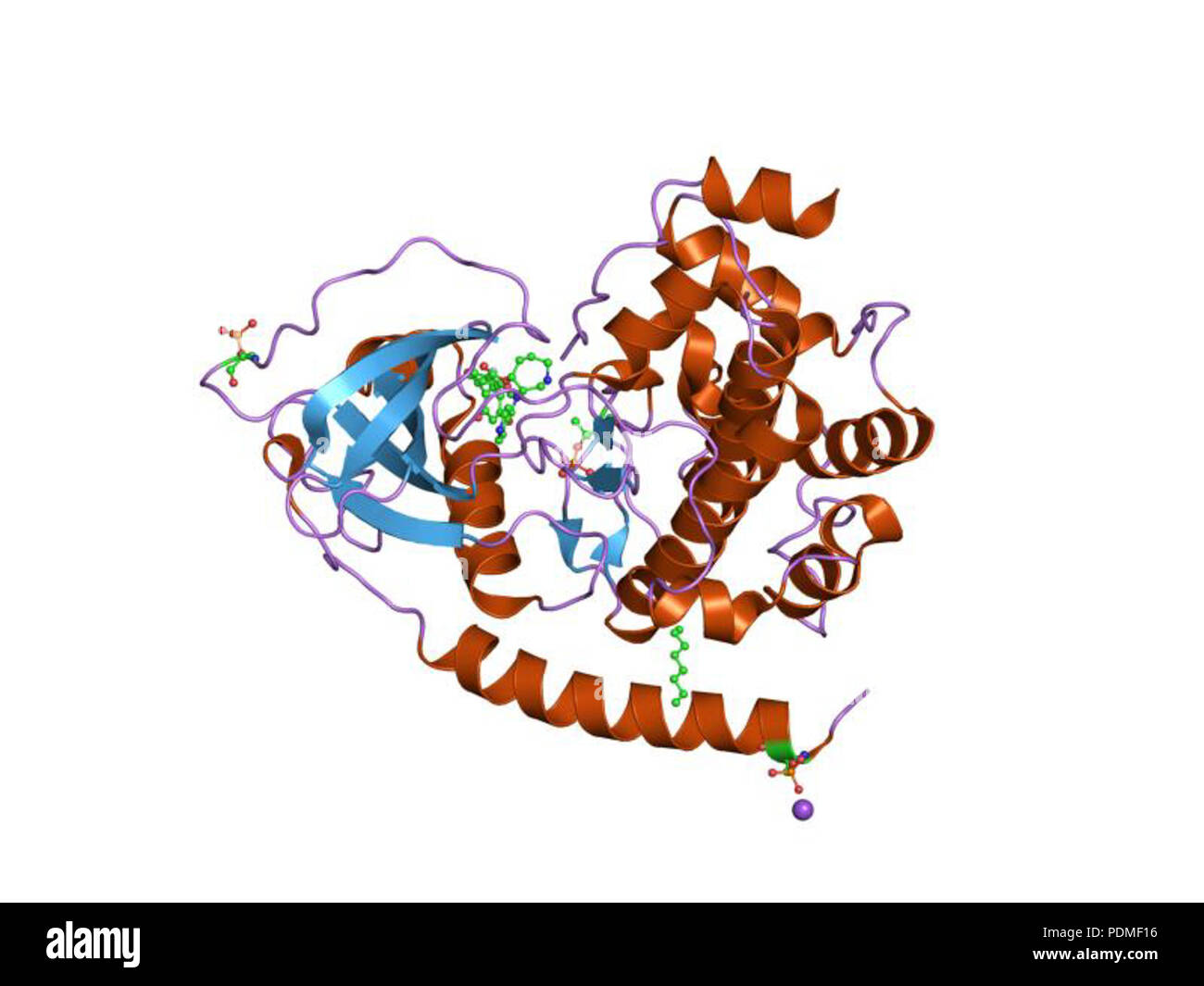 114 PDB 1sve EBI Banque D'Images