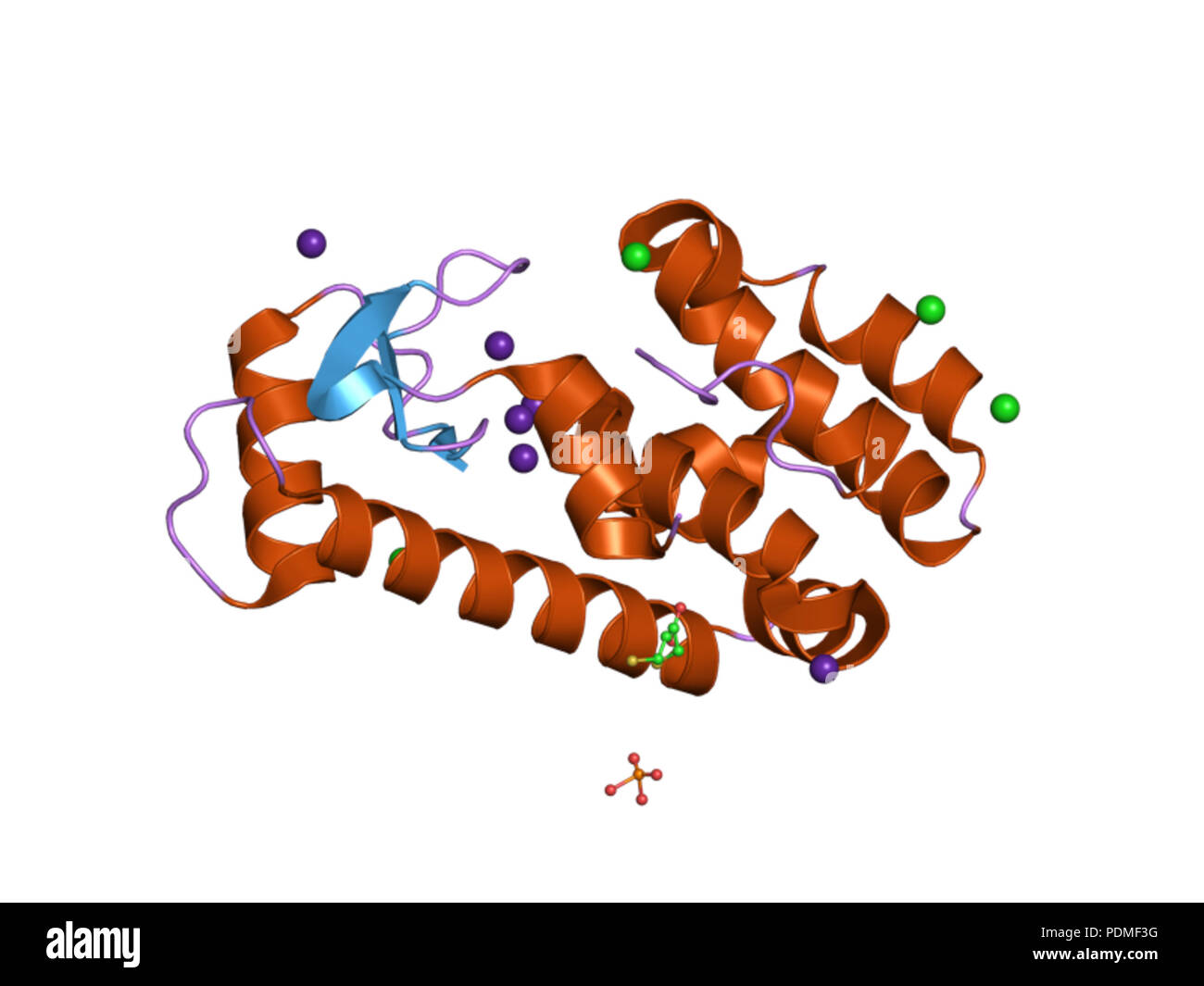 114 PDB 1EBI swz Banque D'Images