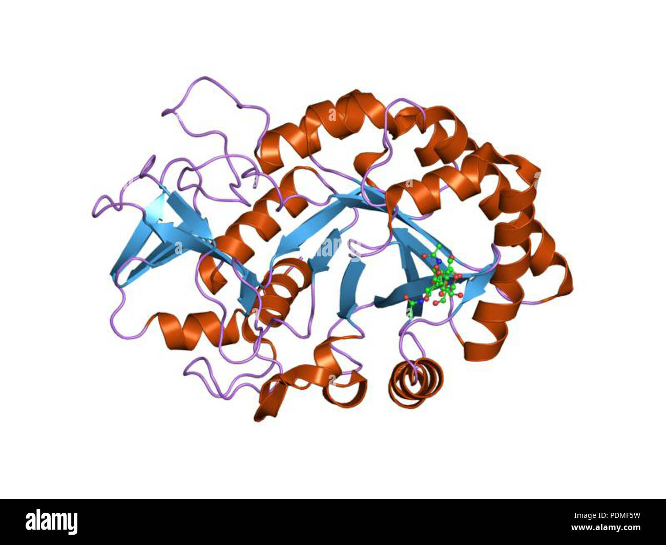 114 PDB 1EBI syt Banque D'Images
