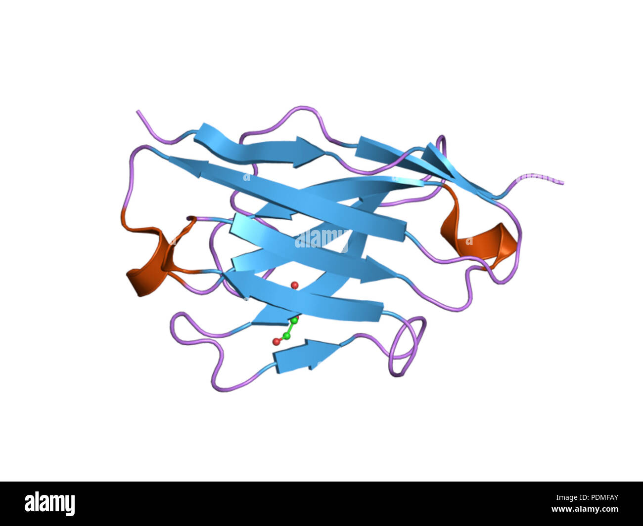 115 PDB 1t2j'EBI Banque D'Images