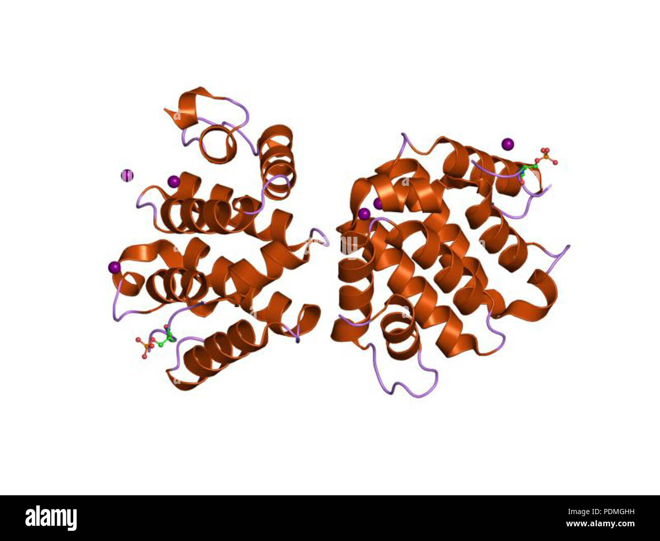 123 PDB 1EBI ujk Banque D'Images