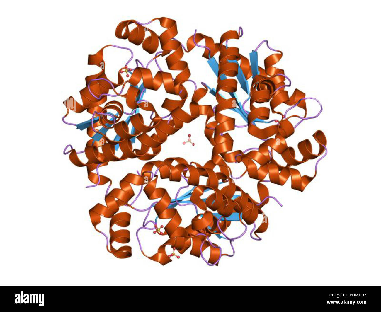 129 PDB 1viy EBI Banque D'Images