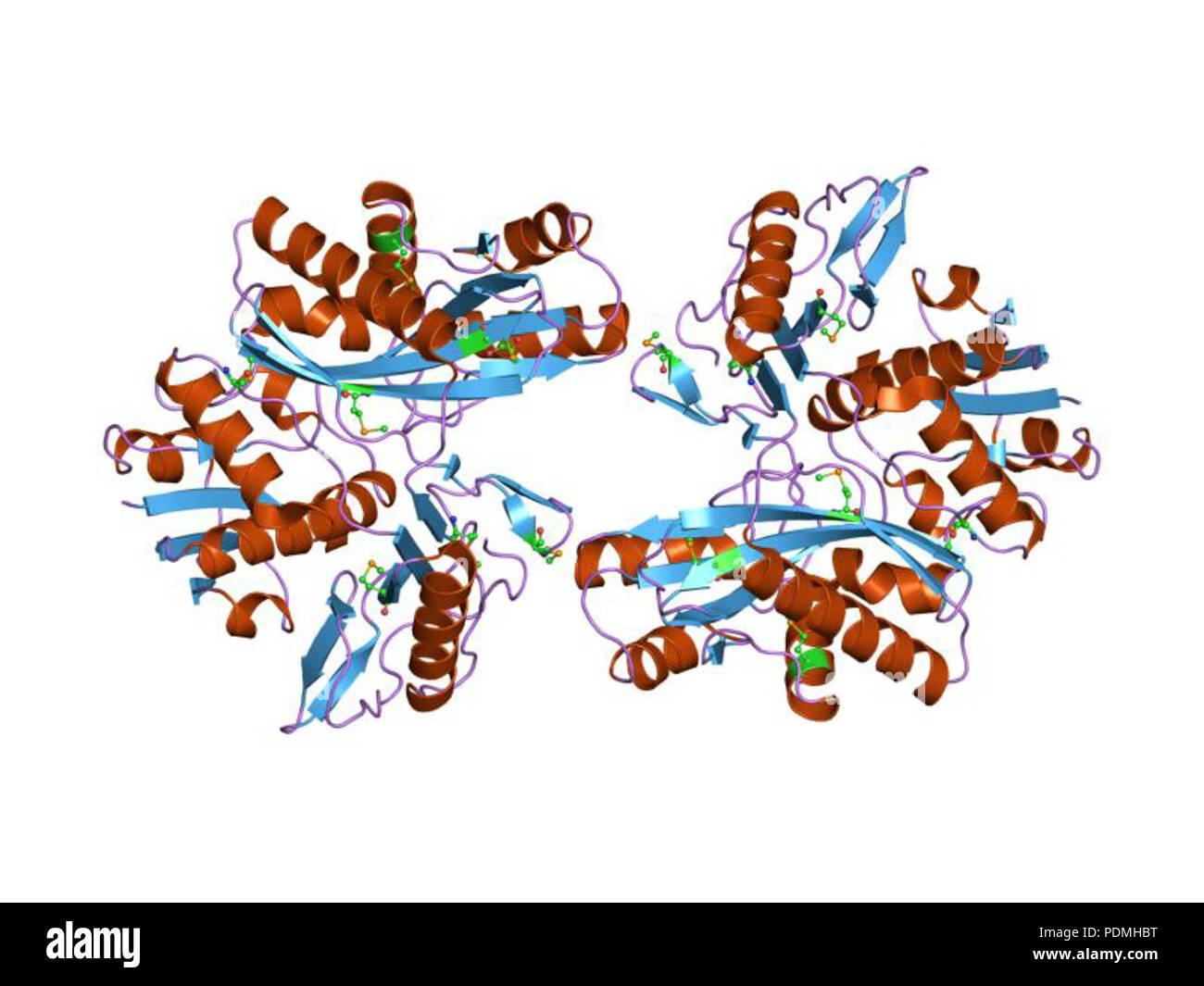 130 PDB 1EBI vkz Banque D'Images