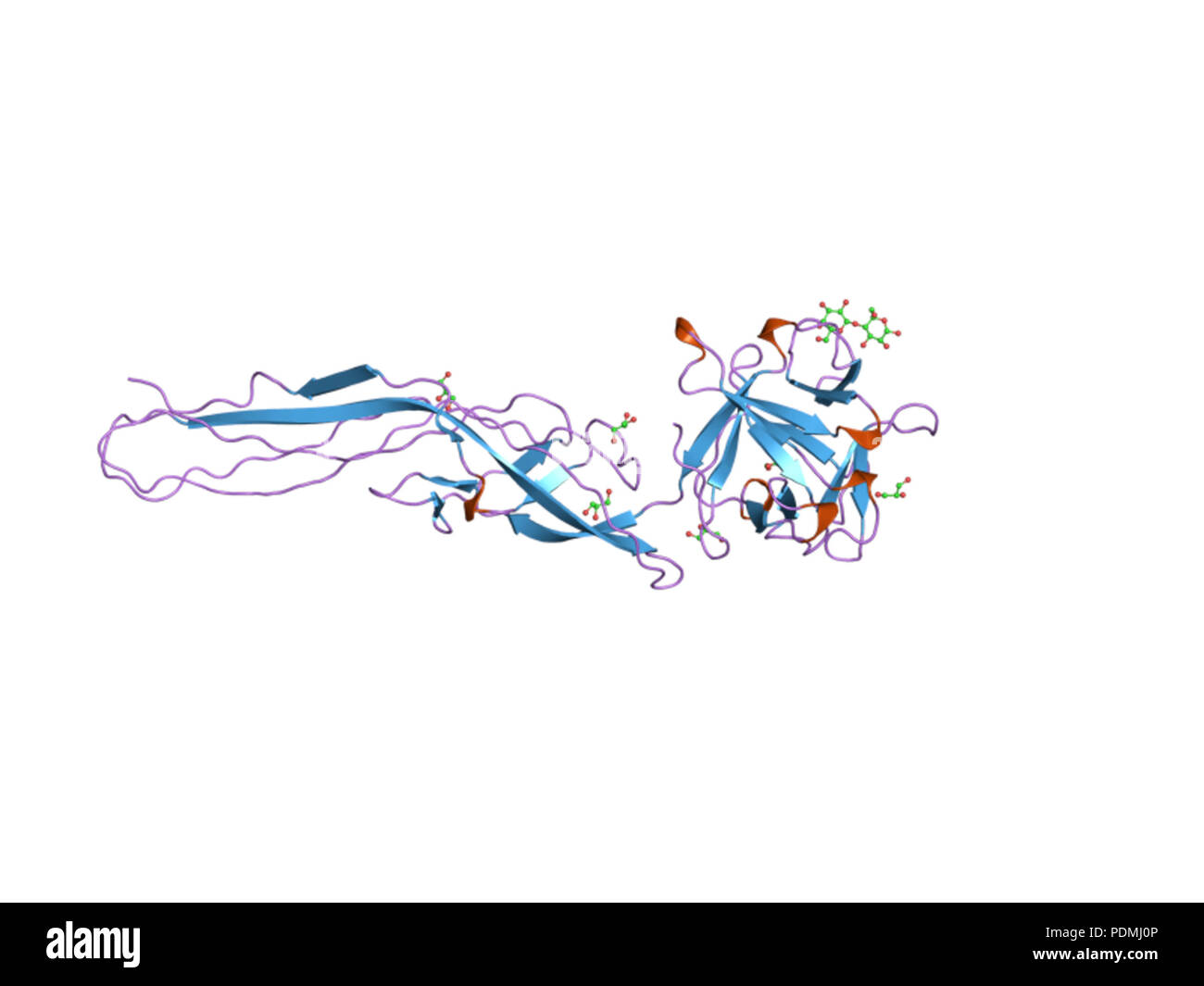 132 PDB 1w3a EBI Banque D'Images