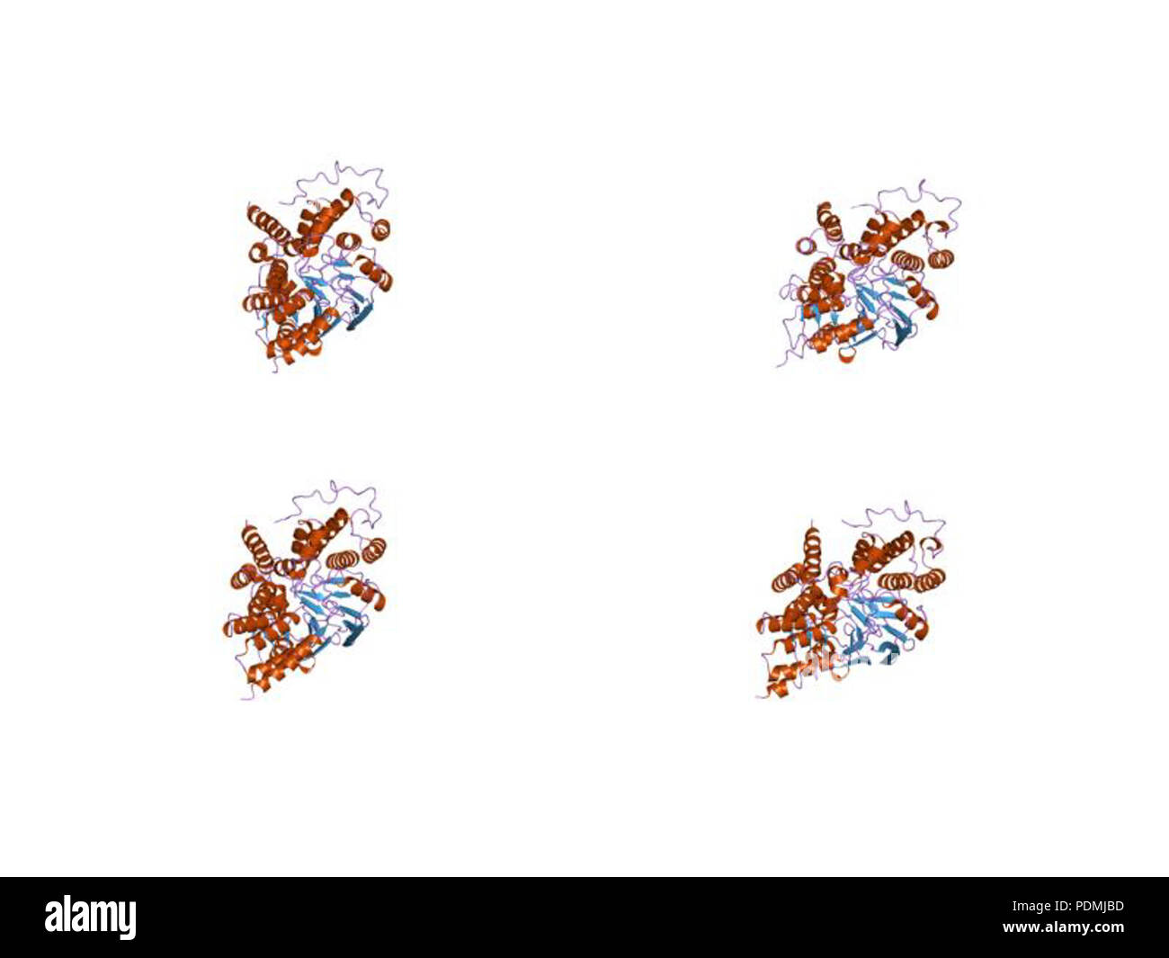 133 PDB 1EBI wao Banque D'Images