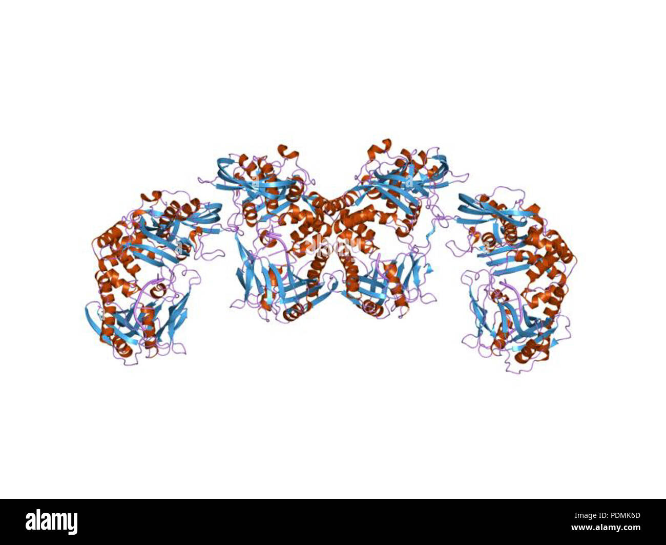 140 PDB 1EBI xhz Banque D'Images