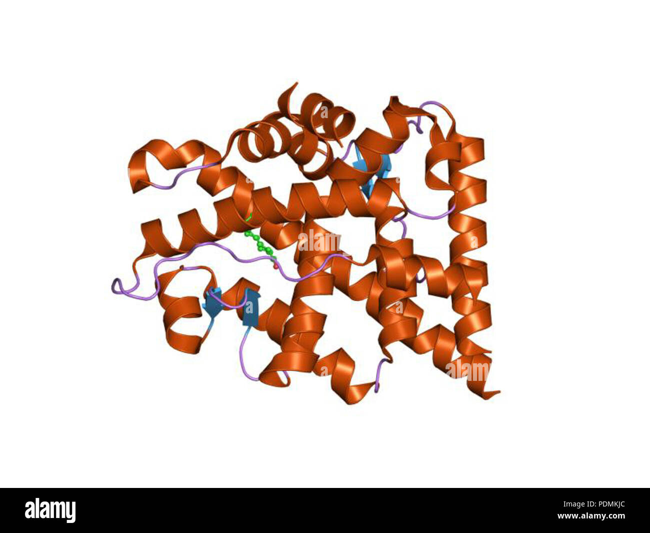 141 PDB 1xow EBI Banque D'Images