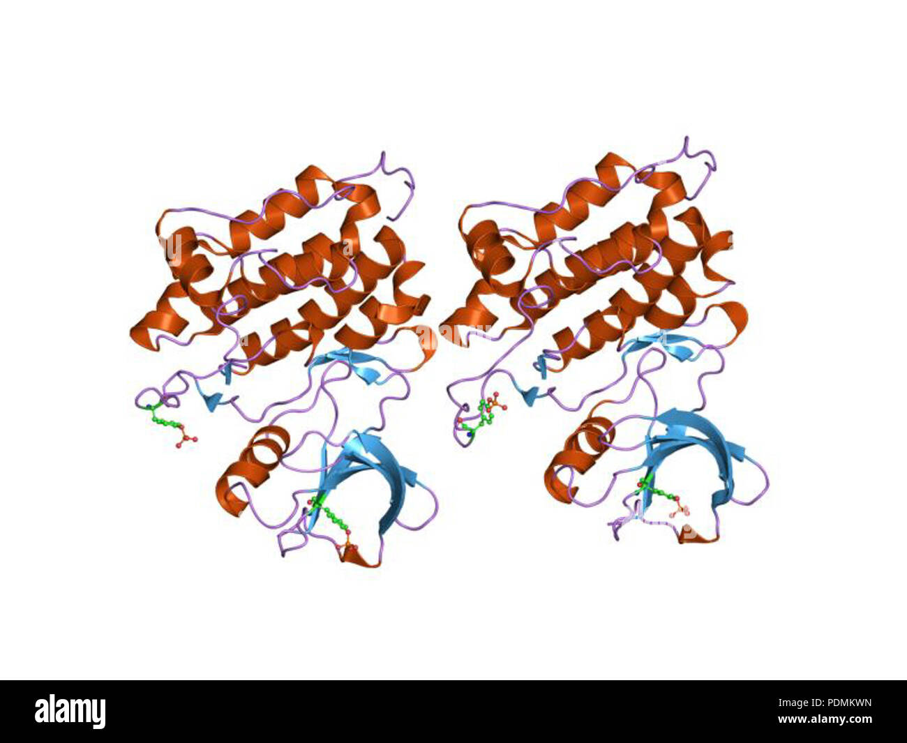 146 PDB 1yi6 EBI Banque D'Images