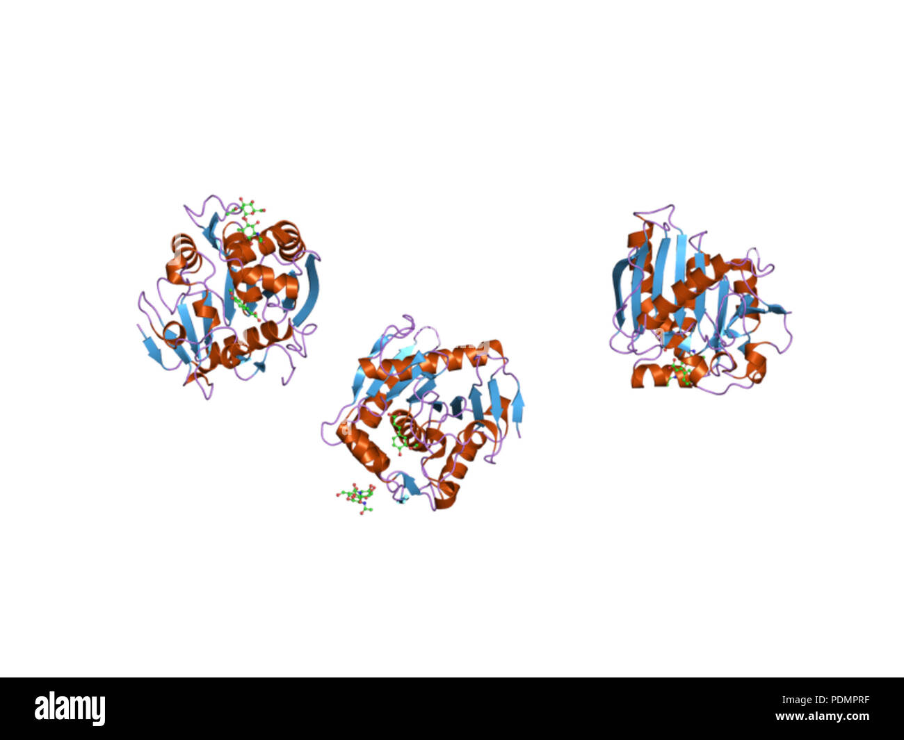 164 PDB 2bjh EBI Banque D'Images