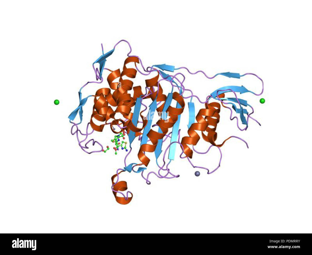 168 PDB 2c5w EBI Banque D'Images