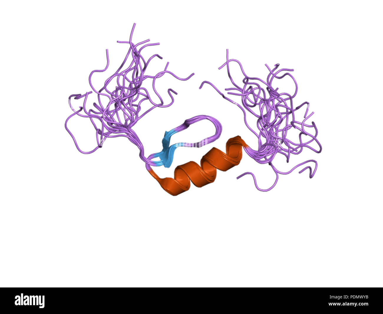183 PDB 2EBI eok Banque D'Images