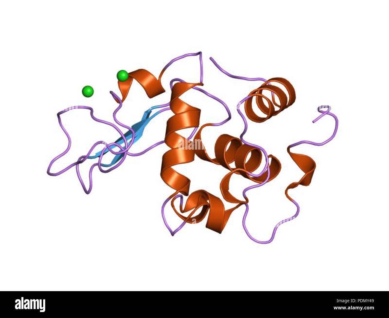 136 PDB 1EBI wqo Banque D'Images