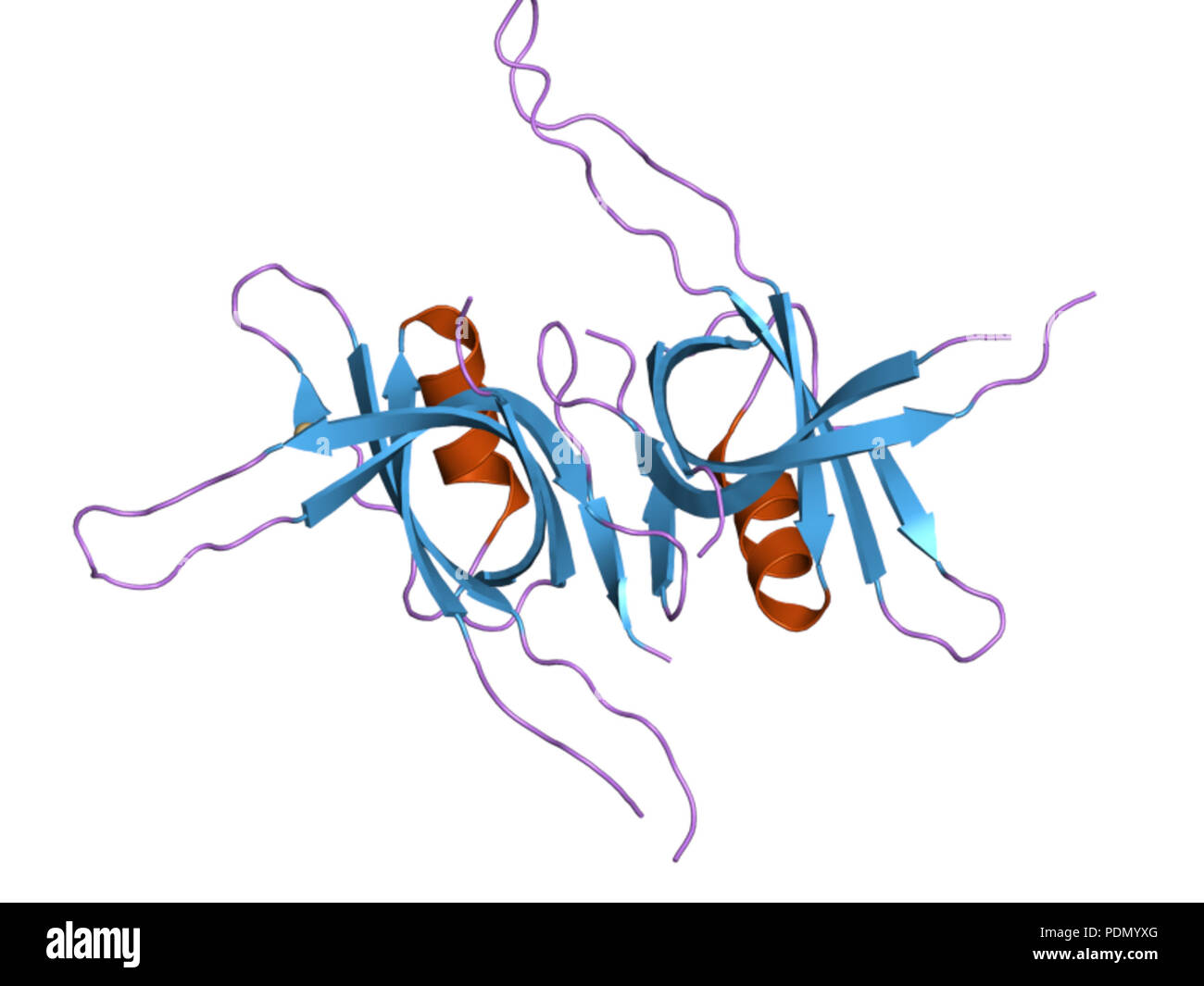 138 PDB 1x3g EBI Banque D'Images