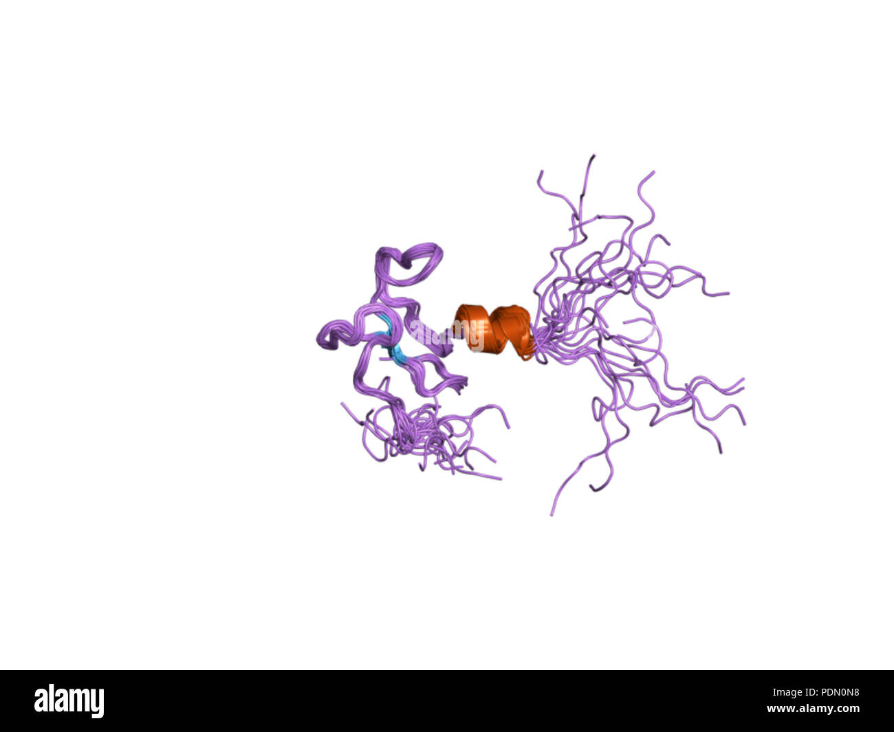 142 PDB 1EBI xwh Banque D'Images