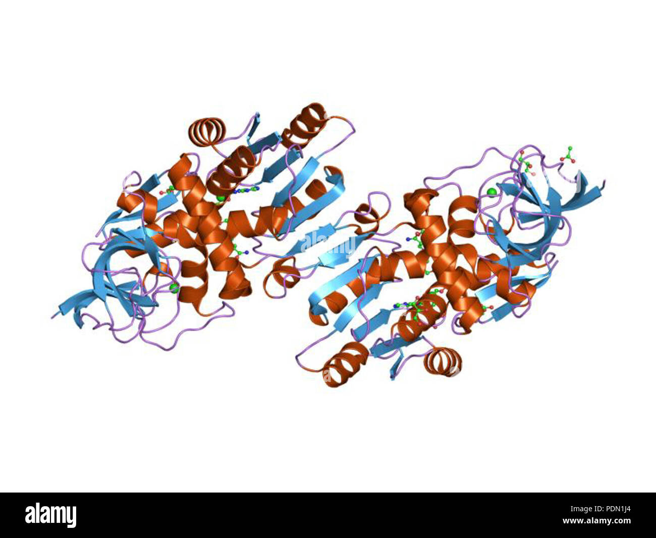 145 PDB 1Yb5 EBI Banque D'Images