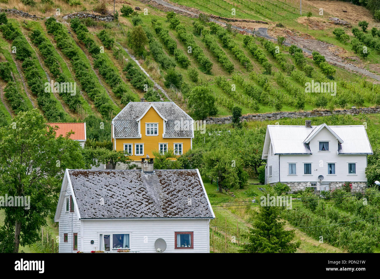 Libre de maisons dans un village. Banque D'Images