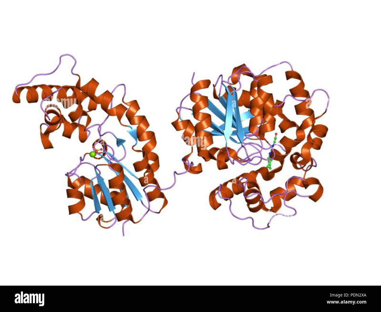 151 PDB 1zd2 EBI Banque D'Images